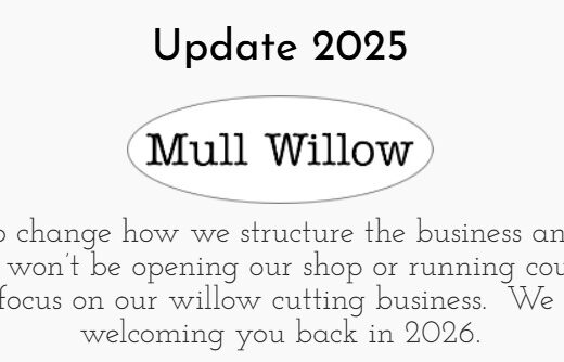 Mull Willow
