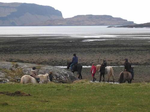 Mull Pony Trekking